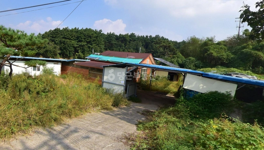 충청남도 보령시 웅천읍 단독/전원주택 사진 1