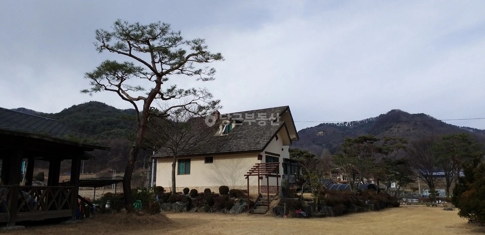 충청북도 제천시 송학면 빌라(투룸 이상) 사진 1