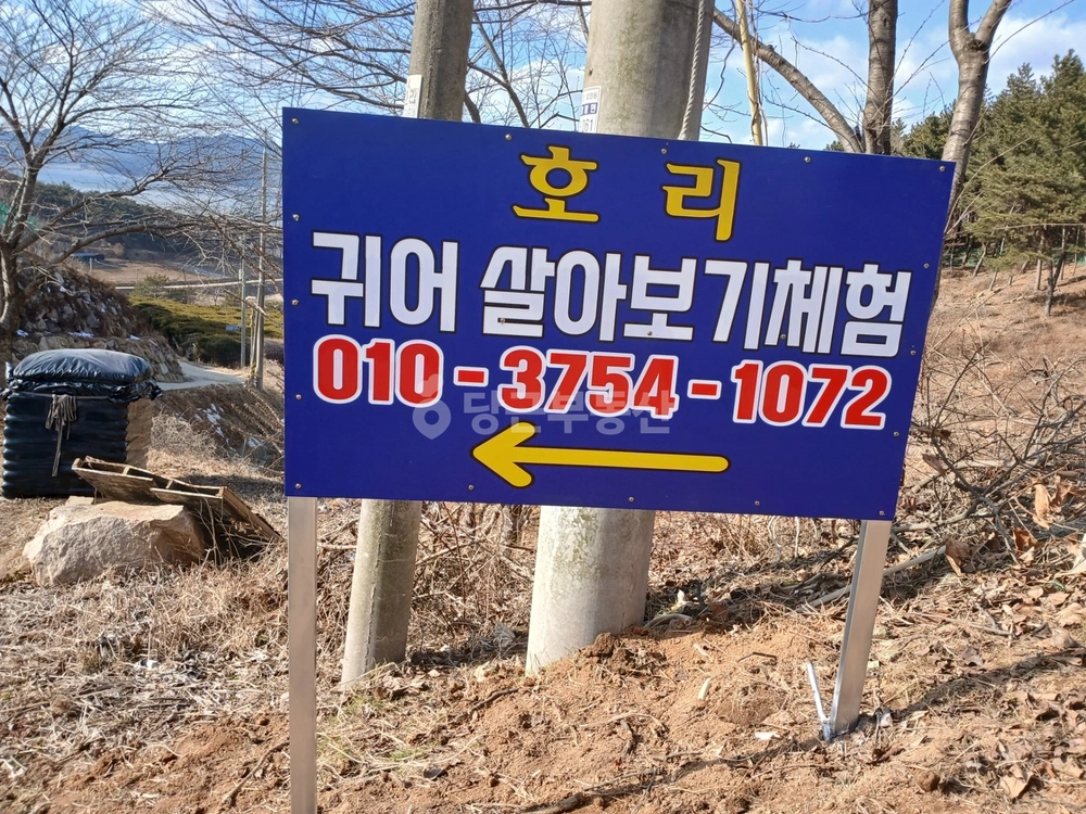 충청남도 서산시 팔봉면 원룸 사진 1