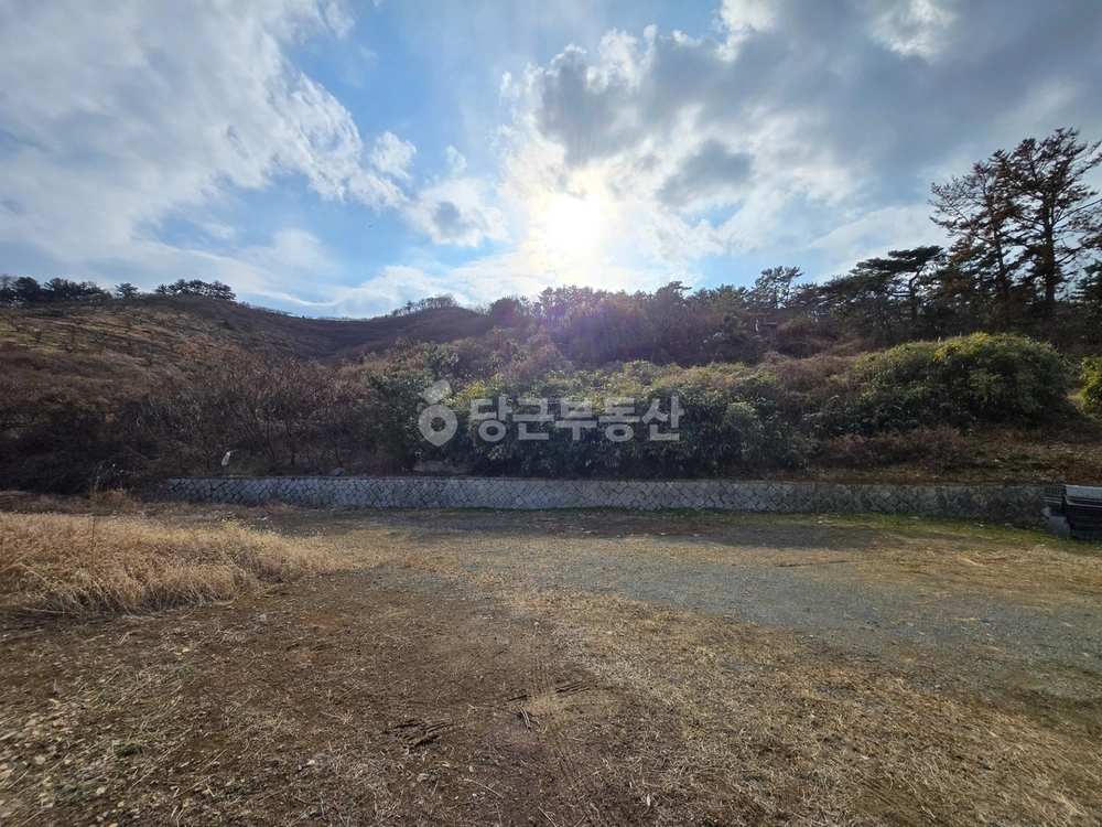 경상남도 김해시 진영읍 토지 사진 1