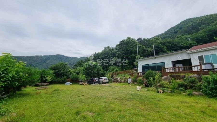 부산광역시 강서구 대저1동 빌라(투룸 이상) 사진 1