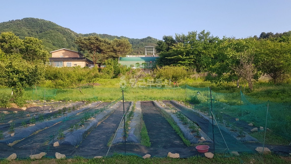 경기도 남양주시 수동면 토지 사진 1