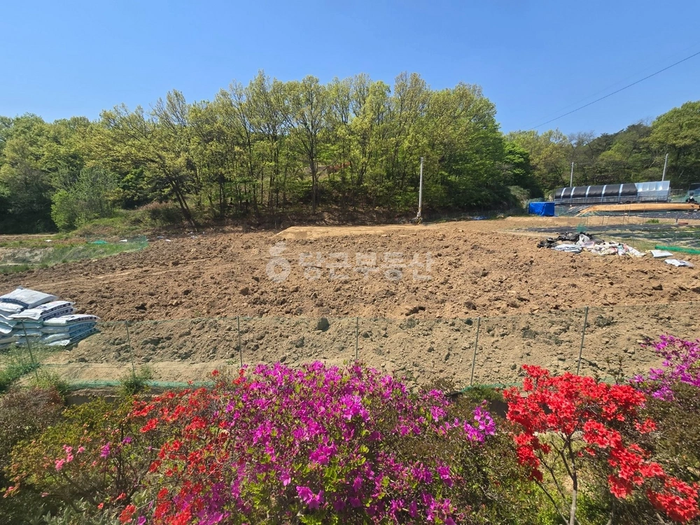 충청남도 당진시 순성면 토지 사진 1