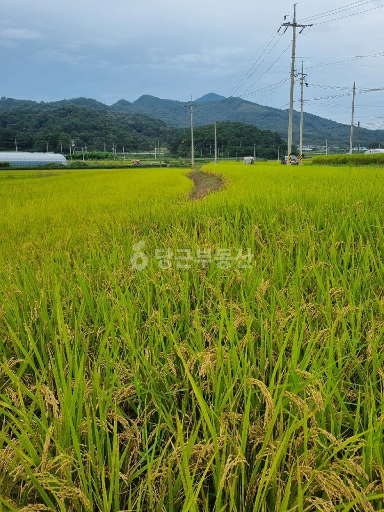 전남광주통합특별시 순천시 주암면 토지 사진 1