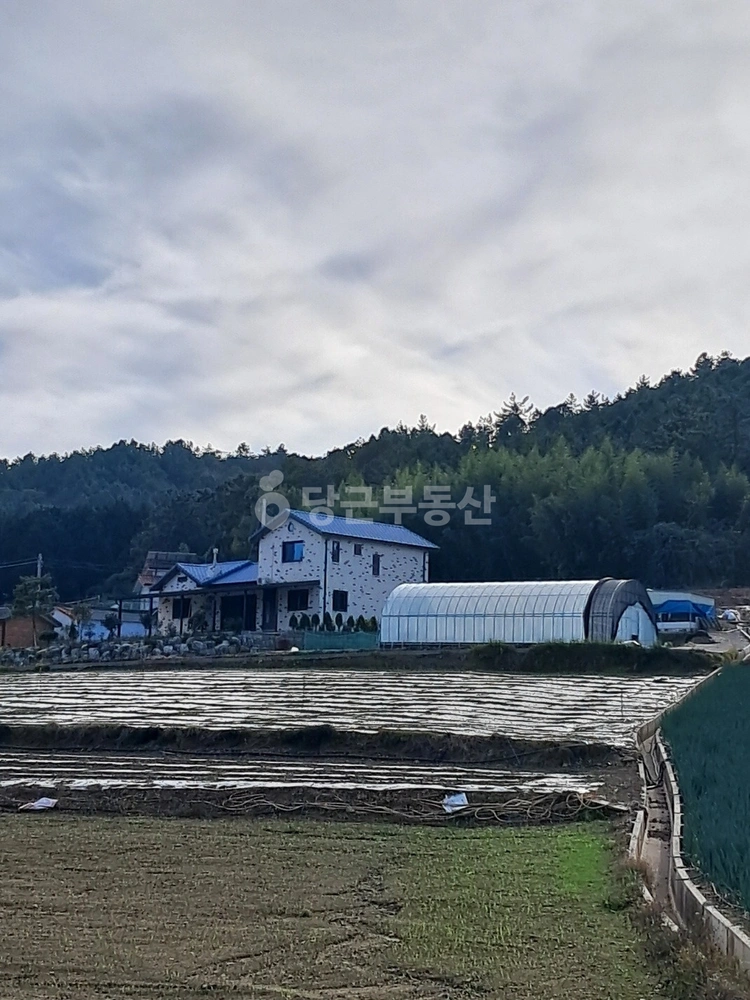 전남광주통합특별시 신안군 지도읍 빌라(투룸 이상) 사진 1