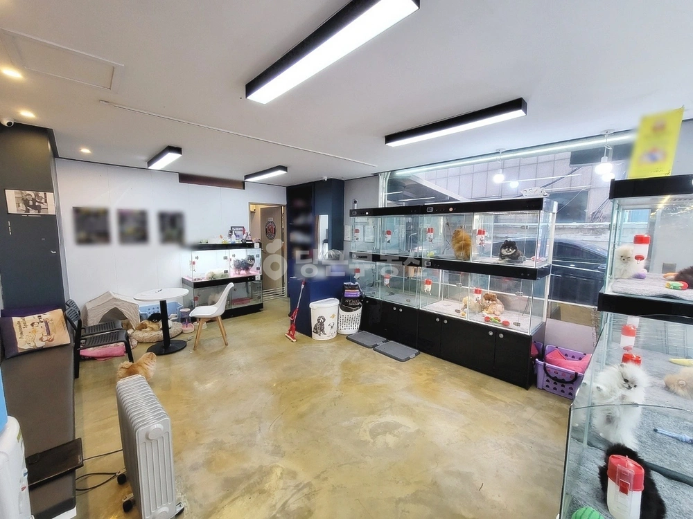 서울특별시 강남구 논현동 상가 사진 1