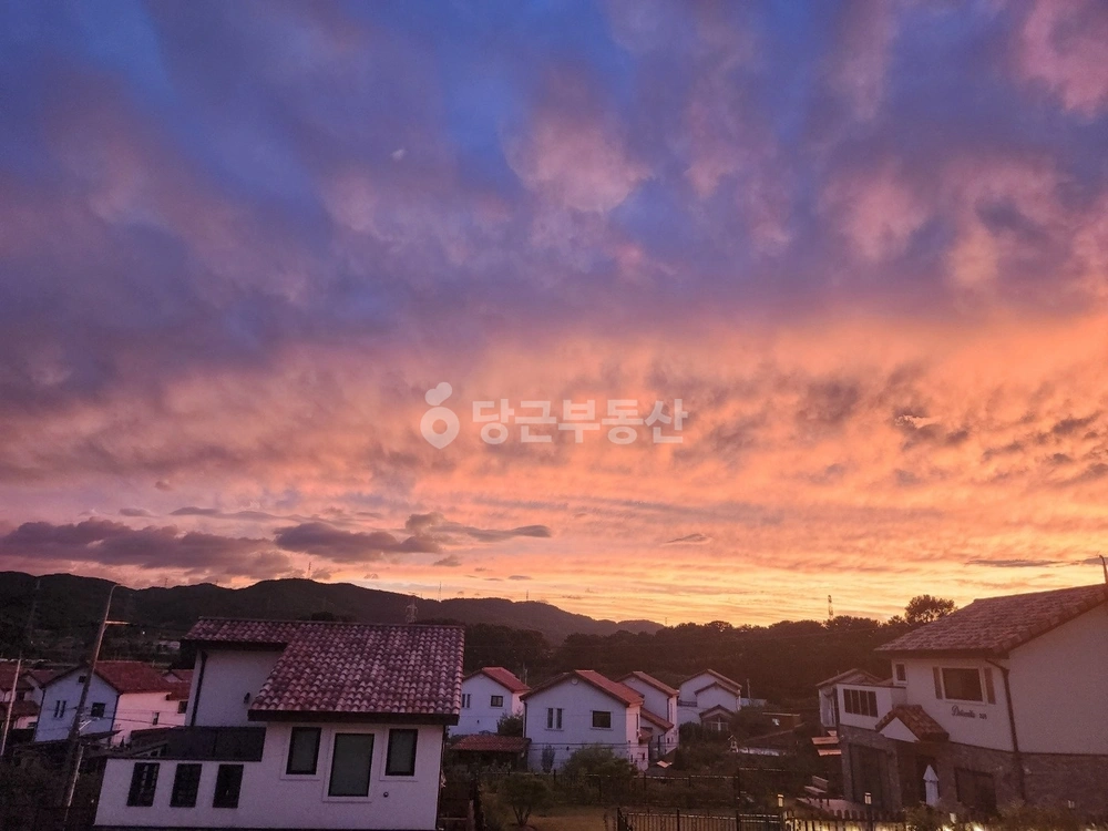 충청남도 아산시 신창면 단독/전원주택 사진 1