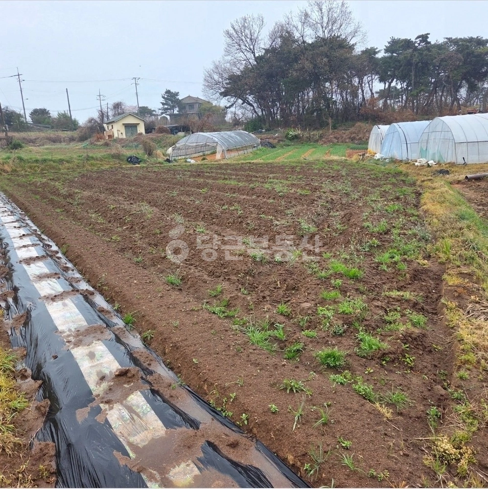 충청남도 당진시 신평면 토지 사진 1