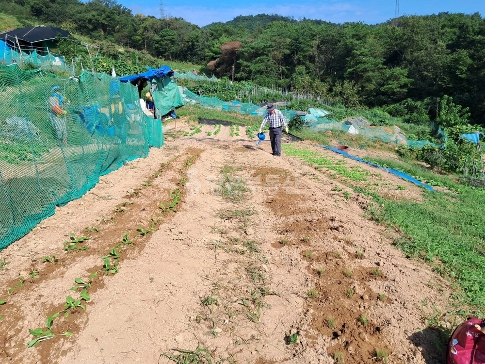 울산광역시 울주군 청량읍 토지 사진 1