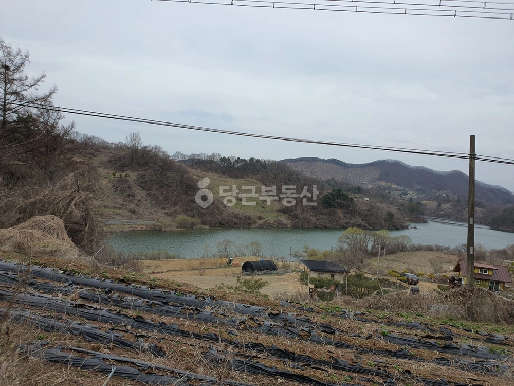 충청북도 옥천군 군북면 토지 사진 1