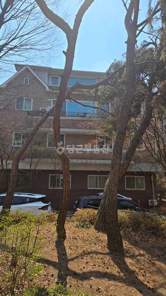 경기도 성남시 분당구 분당동 빌라(투룸 이상) 사진 1