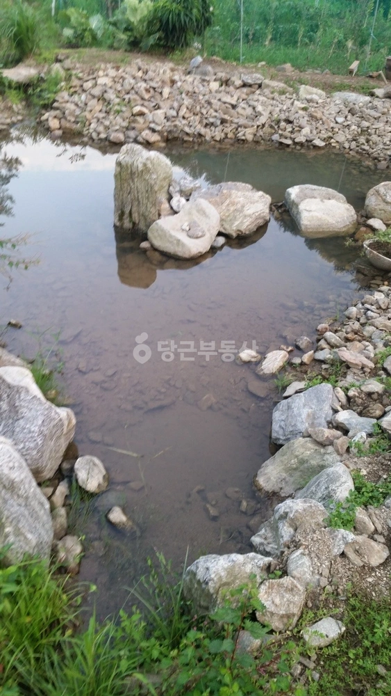 경기도 가평군 청평면 토지 사진 1