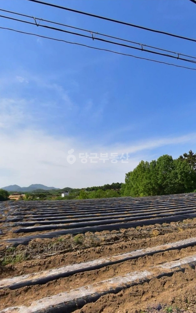 전북특별자치도 완주군 이서면 토지 사진 1