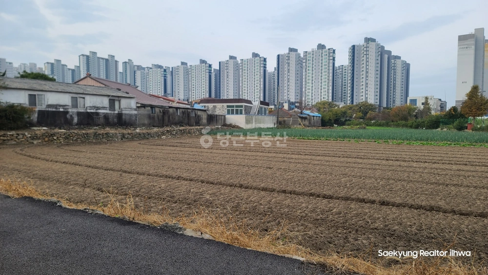 부산광역시 강서구 대저1동 토지 사진 1