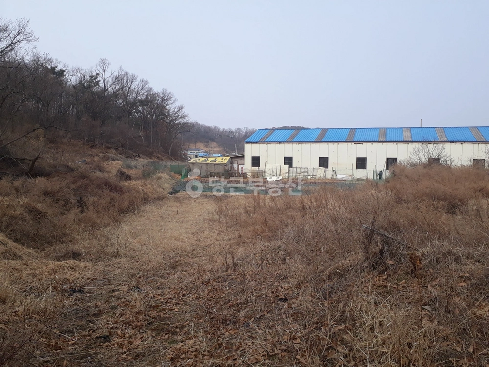 인천광역시 강화군 교동면 토지 사진 1