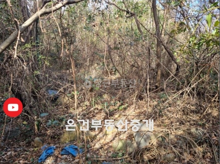 제주특별자치도 서귀포시 대정읍 토지 사진 1