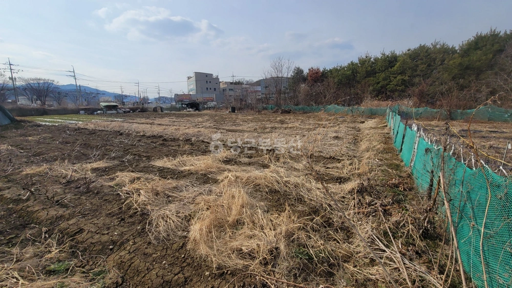 대구광역시 달성군 논공읍 토지 사진 1