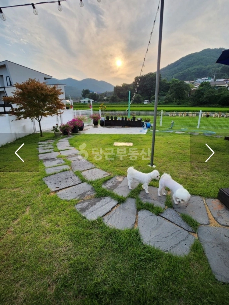 인천광역시 강화군 선원면 상가 사진 1