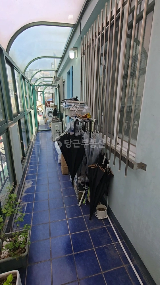 제주특별자치도 제주시 연동 단독/전원주택 사진 1
