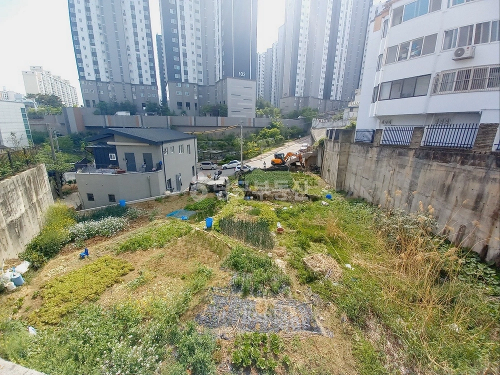 전남광주통합특별시 서구 쌍촌동 토지 사진 1
