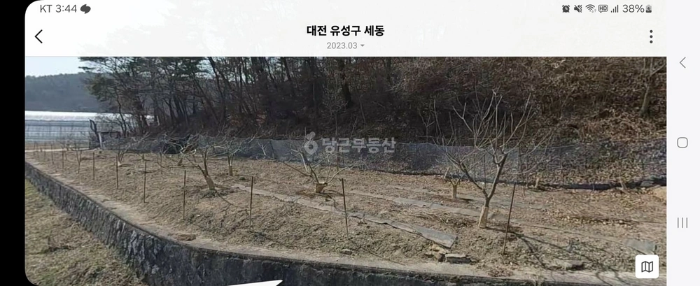 대전광역시 유성구 세동 토지 사진 1