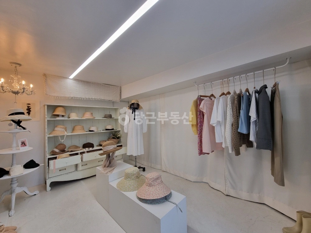 서울특별시 강남구 신사동 상가 사진 1