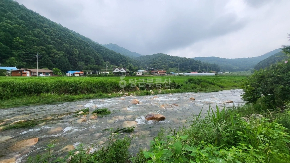 경기도 양평군 용문면 토지 사진 1