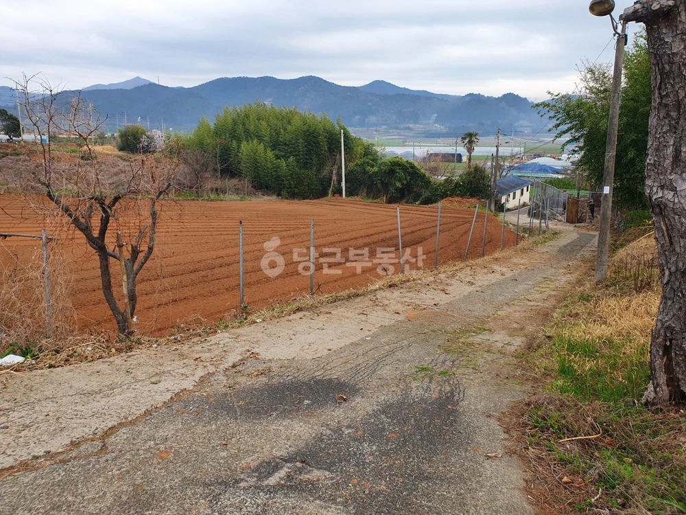 전남광주통합특별시 고흥군 풍양면 토지 사진 1