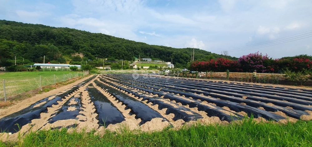 충청남도 논산시 연산면 토지 사진 1