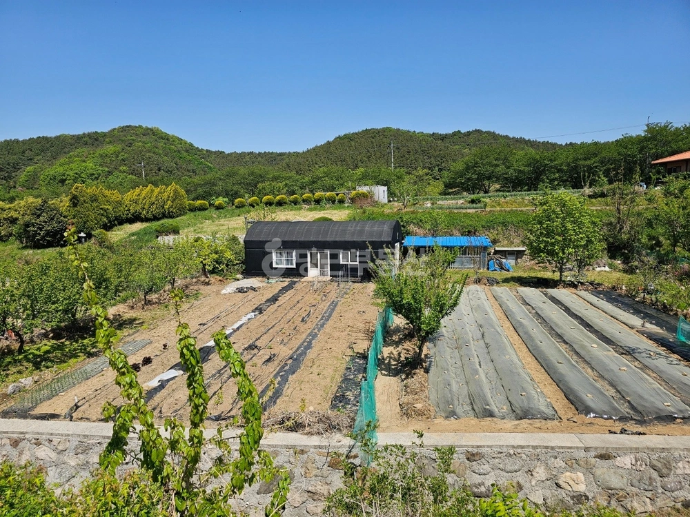 울산광역시 울주군 두동면 토지 사진 1