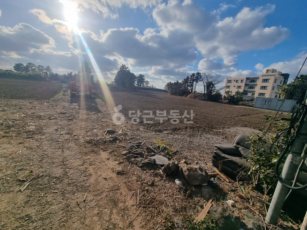 제주특별자치도 제주시 도평동 토지 사진 1