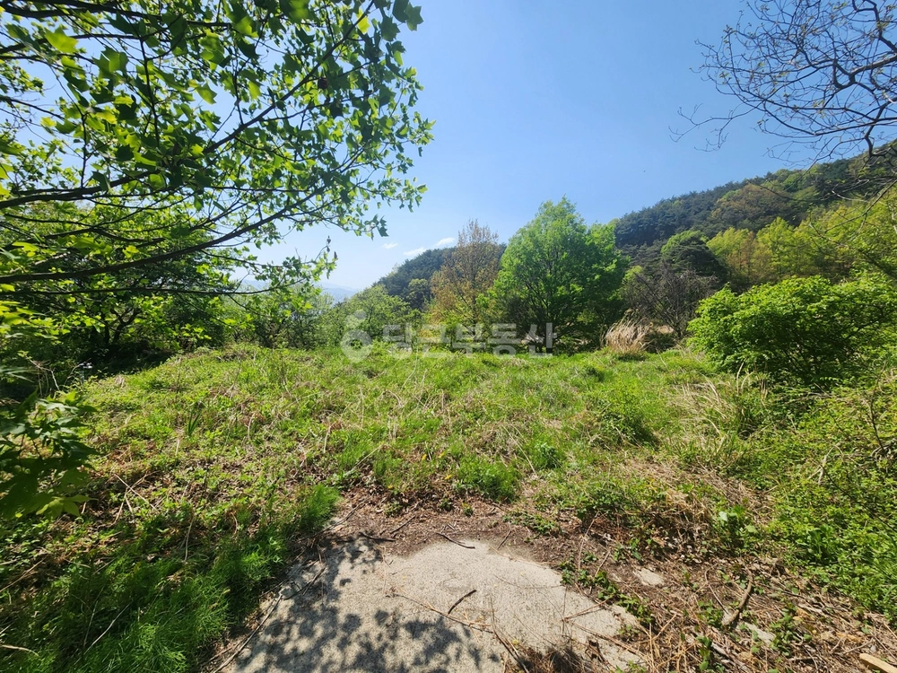 경상남도 산청군 산청읍 토지 사진 1
