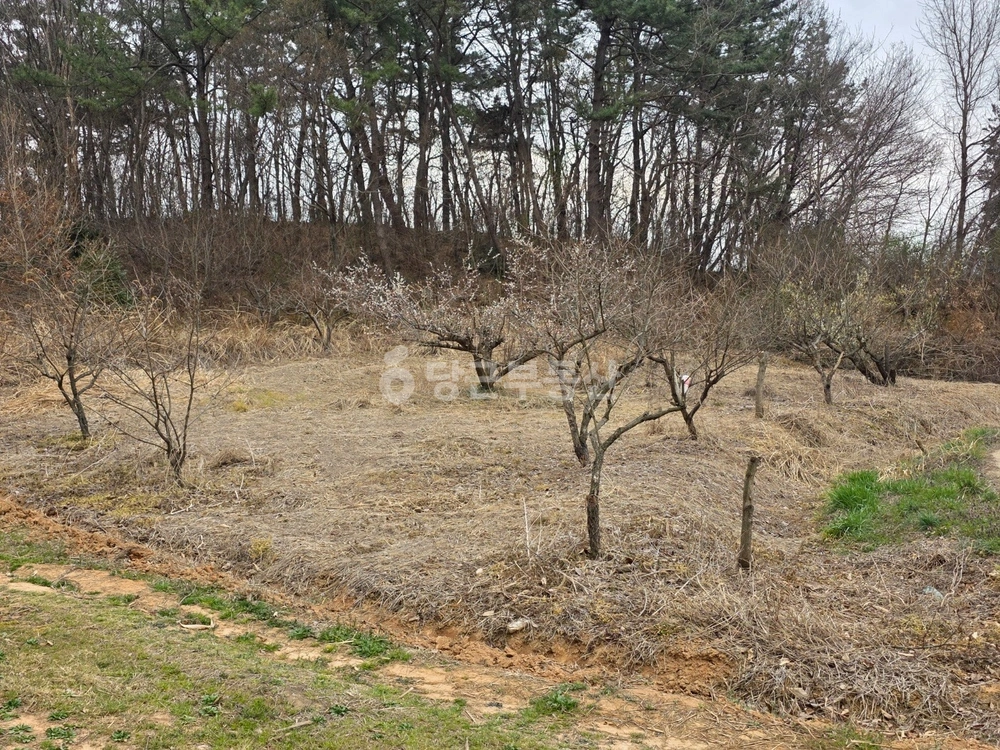 전남광주통합특별시 광산구 고룡동 토지 사진 1