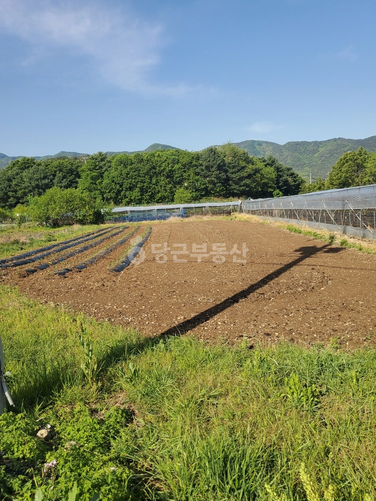 경상북도 경주시 건천읍 토지 사진 1