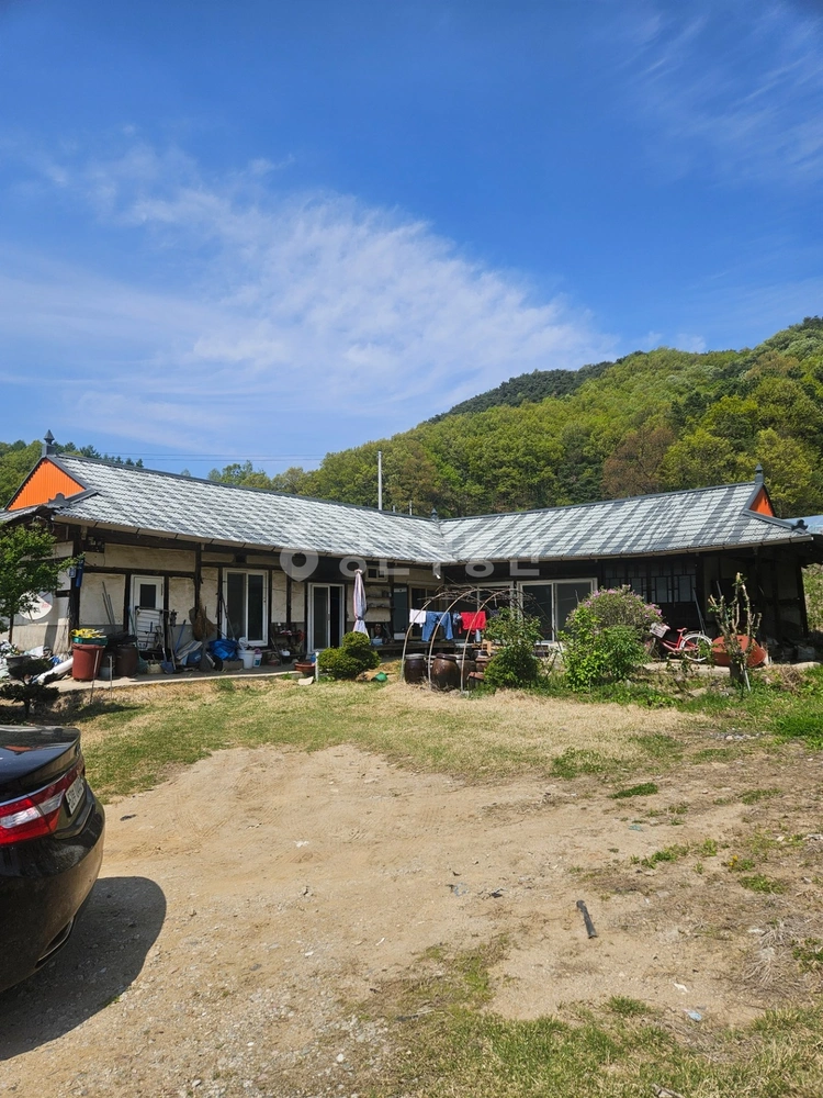 강원특별자치도 횡성군 횡성읍 빌라(투룸 이상) 사진 1