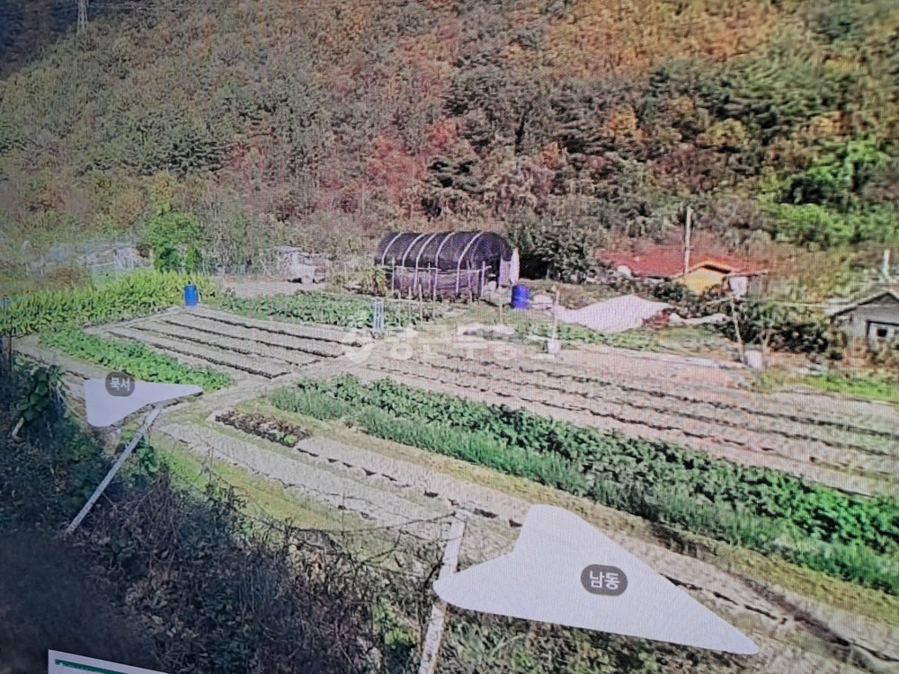 경상남도 양산시 원동면 토지 사진 1