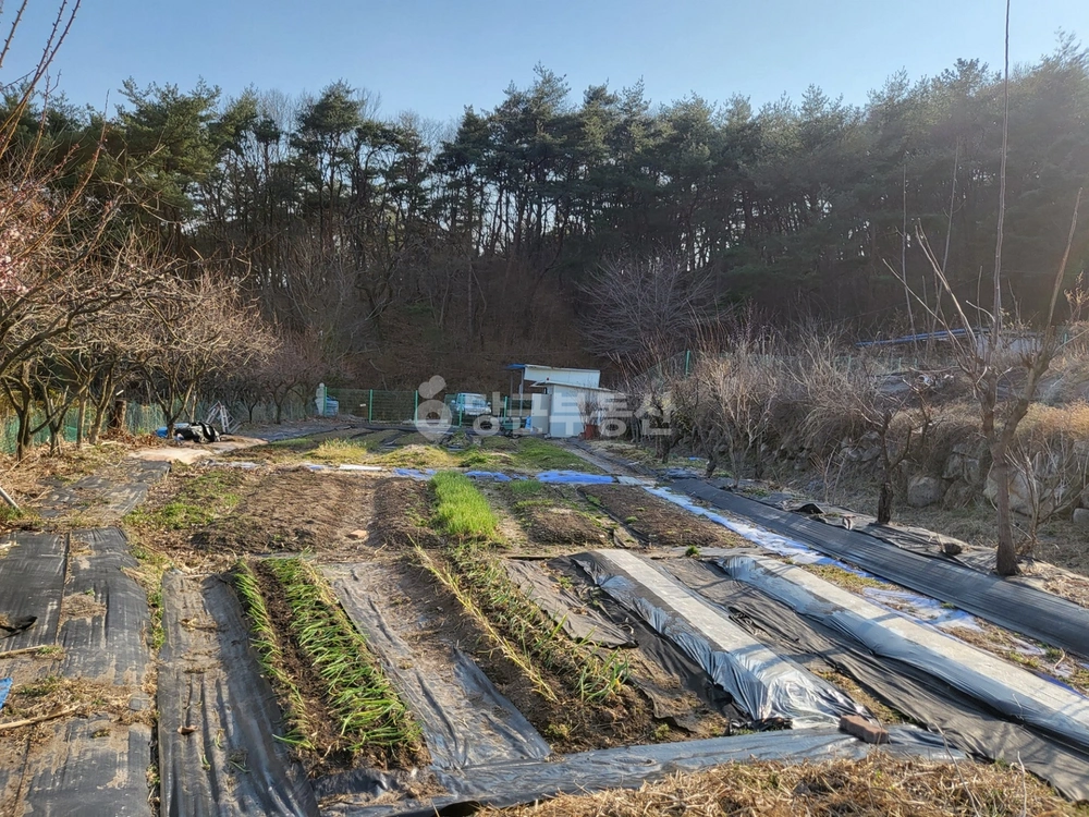 경상남도 양산시 하북면 토지 사진 1