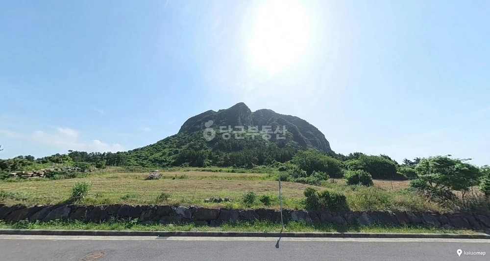 제주특별자치도 서귀포시 안덕면 토지 사진 1