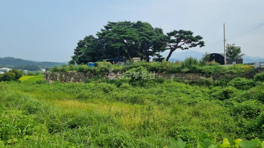 울산광역시 울주군 웅촌면 토지 사진 1