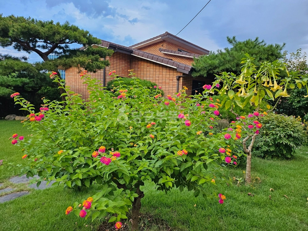 경기도 용인시 기흥구 신갈동 토지 사진 1