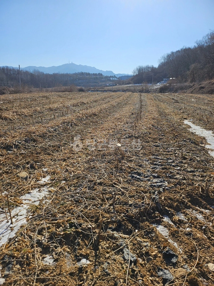 경기도 파주시 적성면 토지 사진 1