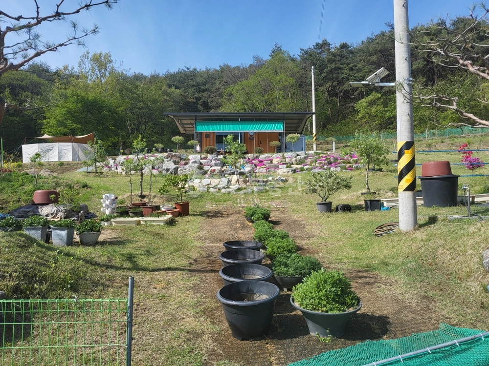 전남광주통합특별시 장성군 황룡면 토지 사진 1
