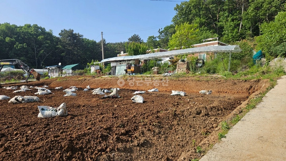 인천광역시 옹진군 영흥면 토지 사진 1