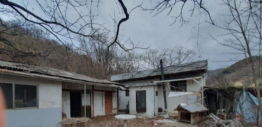 경상북도 청도군 화양읍 단독/전원주택 사진 1