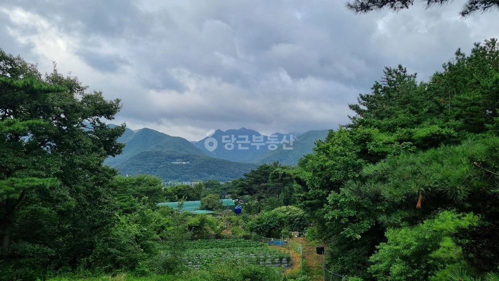 경상남도 양산시 하북면 토지 사진 1
