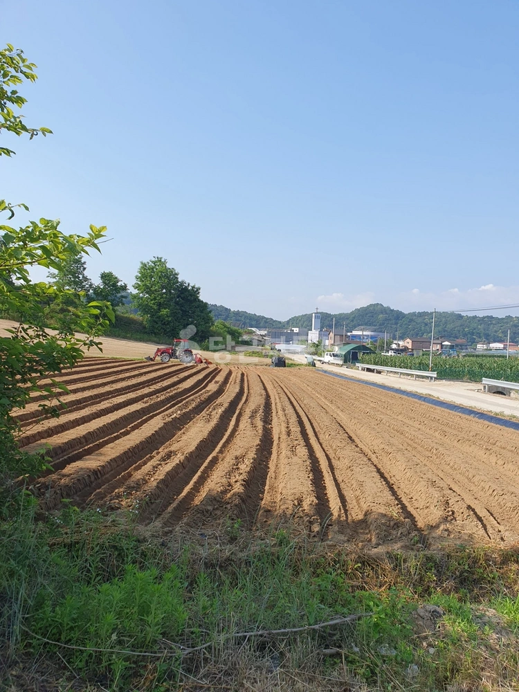 충청북도 충주시 엄정면 토지 사진 1