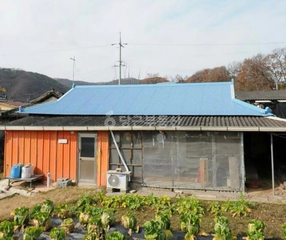 경상북도 의성군 옥산면 단독/전원주택 사진 1