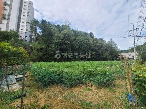 강원특별자치도 홍천군 홍천읍 토지 사진 1