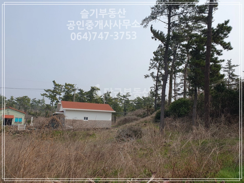 제주특별자치도 제주시 한림읍 토지 사진 1