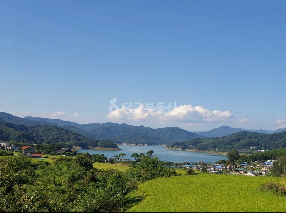 경상남도 합천군 대병면 토지 사진 1